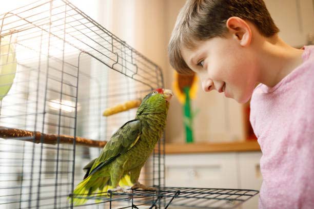 Can Birds Cause Respiratory Problems In Humans