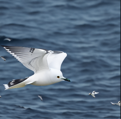 Read more about the article Black-Legged Kittiwake